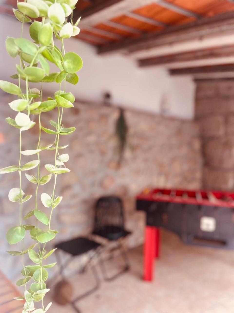 Quinta Jr - Casa De Campo Carregal  Exteriér fotografie