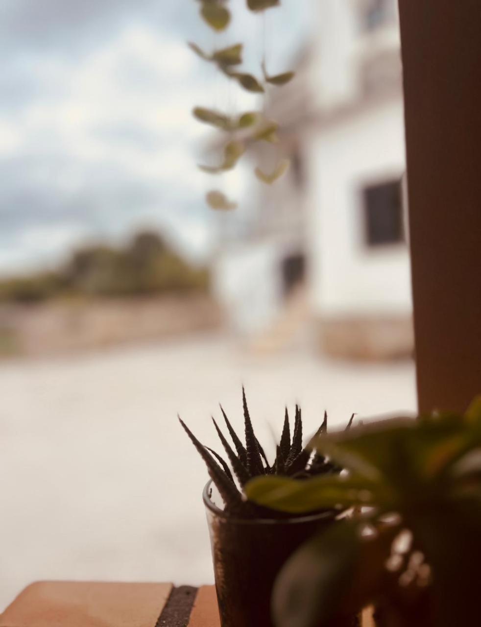 Quinta Jr - Casa De Campo Carregal  Exteriér fotografie